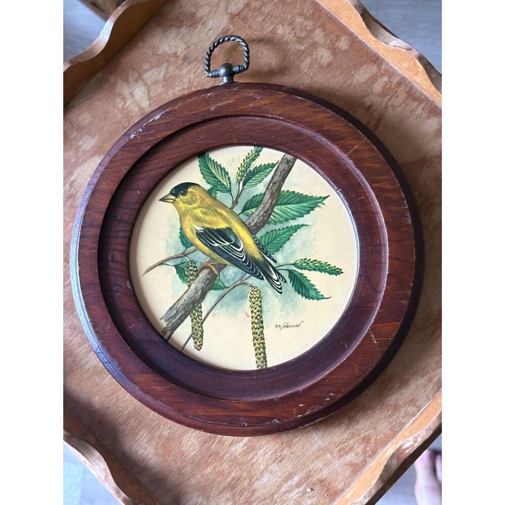 Vintage Round Framed Yellow Bird Print 8” Wood Frame Botanical Cottage Wall Art
